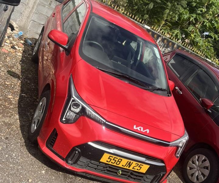 Rose Hill Car Rental: Cruise Mauritius in a Kia Picanto Automatic 🚗✨