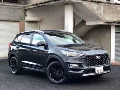 Car Rental Services – Hyundai Tucson Fury N Line Hybrid SUV