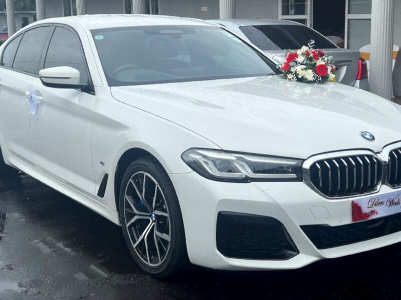 Luxury Car for Rent – Experience the BMW 530e Plug-in Hybrid in Mauritius