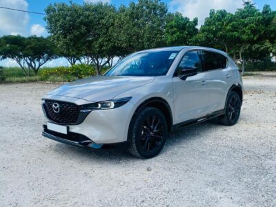 Best Airport Transfer in Mauritius – Affordable Luxury and Comfort